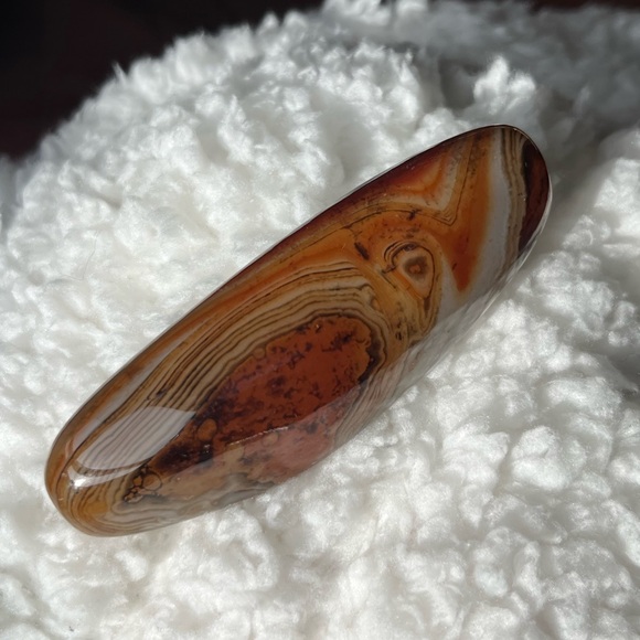 SARDONYX - Picture 5 of 5